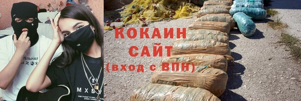 винт Богданович