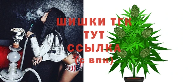 винт Богданович