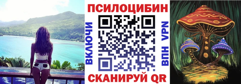 Галлюциногенные грибы Magic Shrooms  где можно купить   Ленинградская 